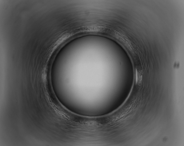 X0000100870483200806201244