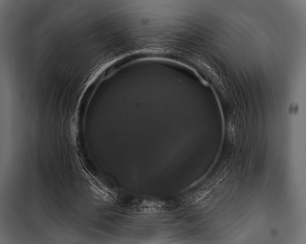 X0000100870484200806201244
