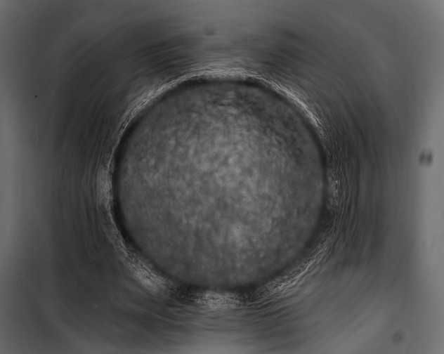 X0000100870487200806201244