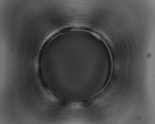 X0000100870488200806201244