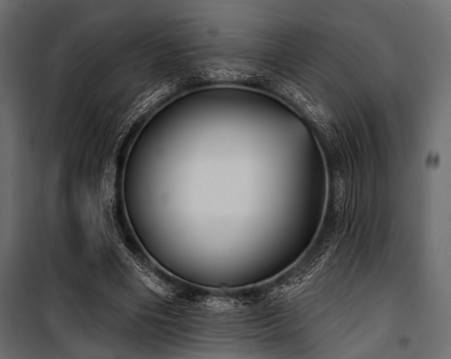 X0000100870490200806201244
