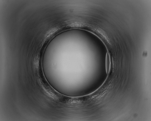 X0000100870491200806201244