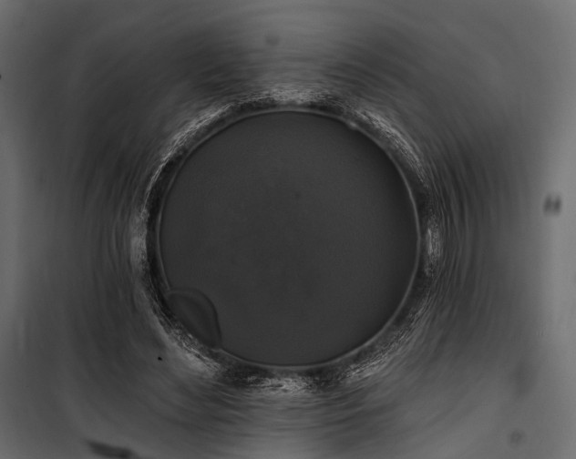 X0000100870492200806201244