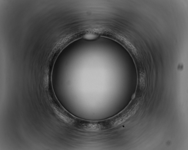 X0000100870493200806201244