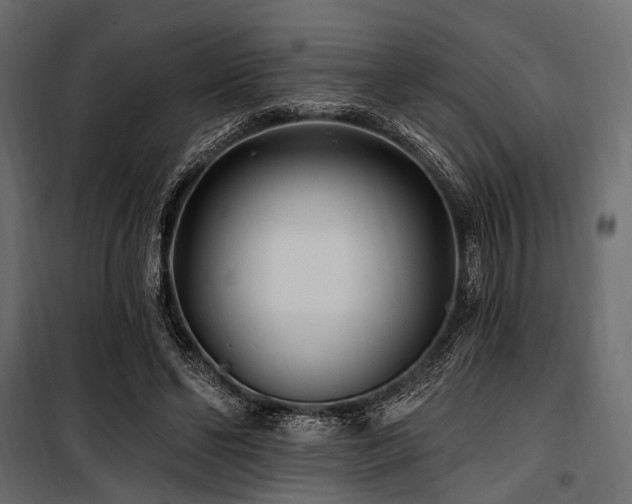 X0000100870494200806201244