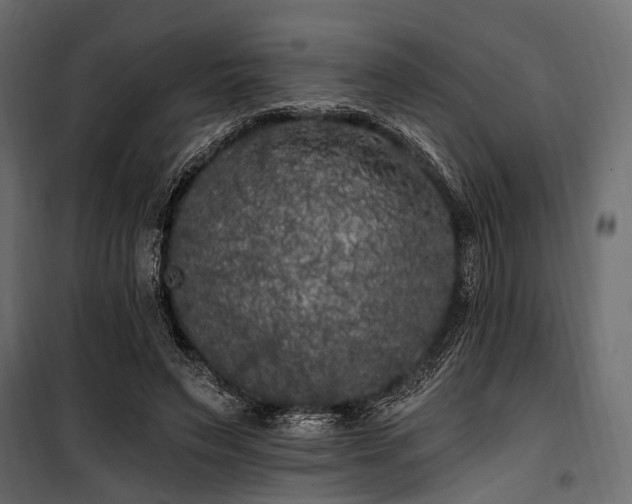 X0000100870495200806201244