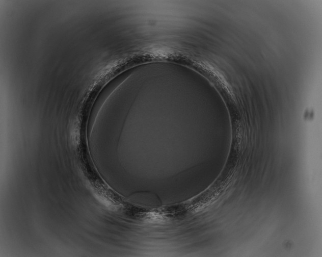 X0000100870496200806201244