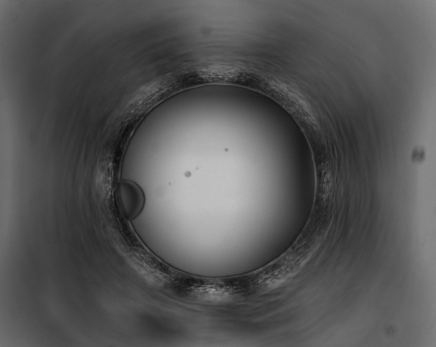 X0000100870498200806201244