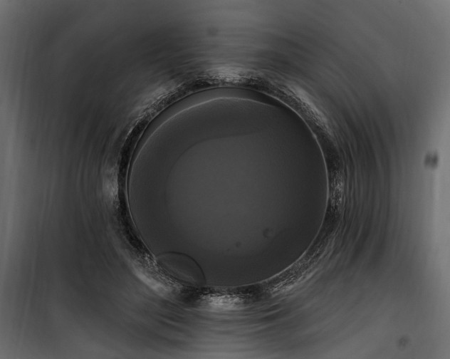 X0000100870500200806201244