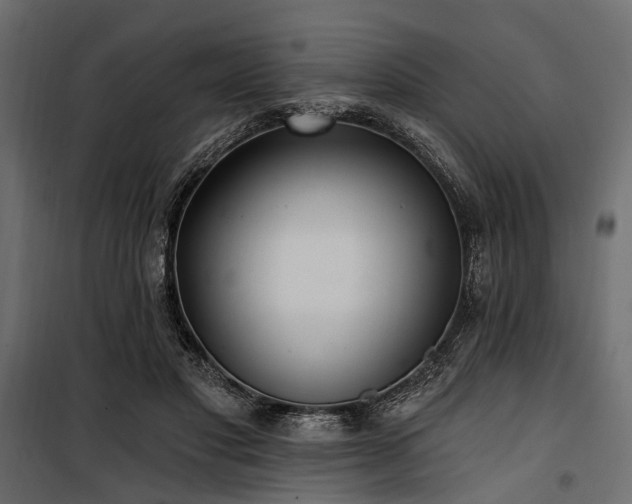 X0000100870501200806201244