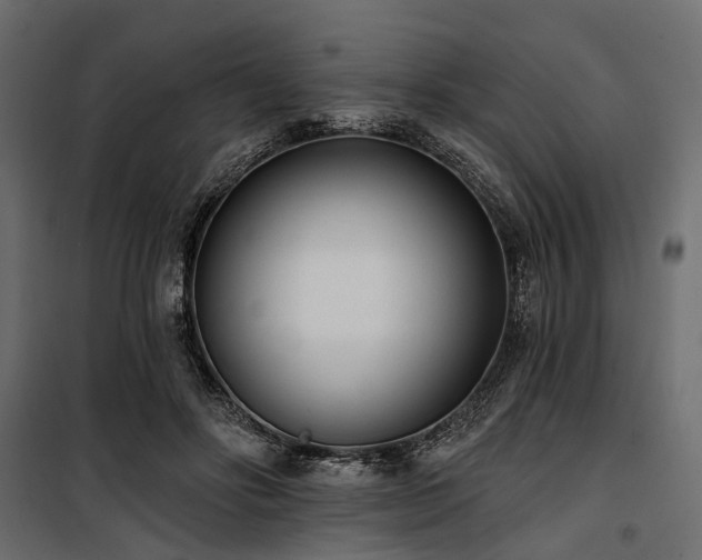 X0000100870502200806201244