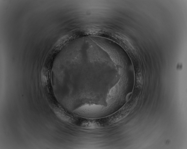 X0000100870503200806201244