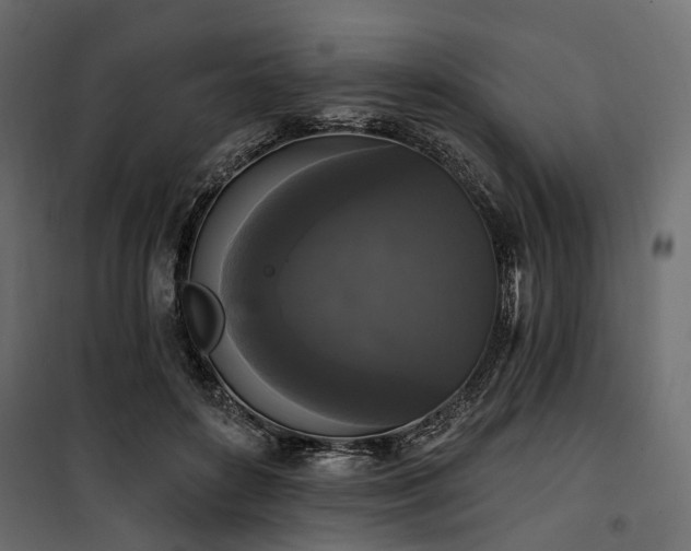 X0000100870504200806201244