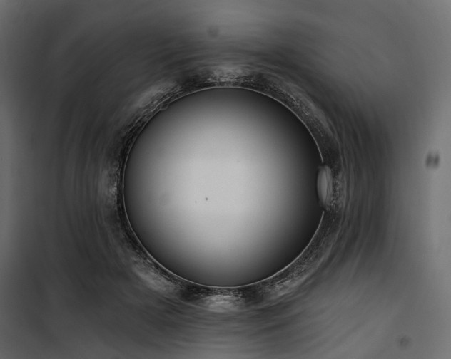 X0000100870505200806201244