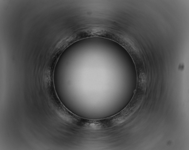 X0000100870506200806201244