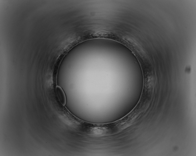 X0000100870508200806201244