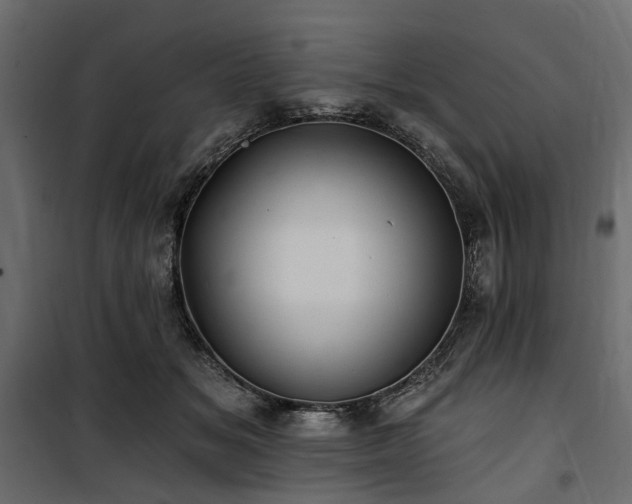 X0000100870509200806201244