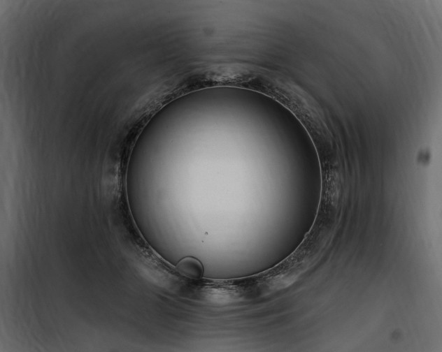 X0000100870510200806201244