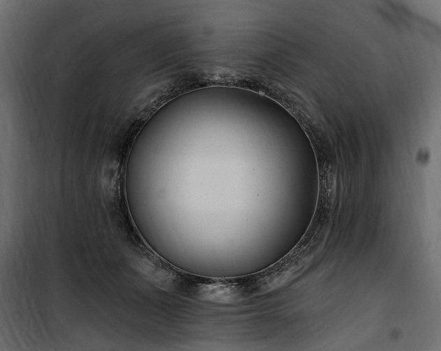 X0000100870511200806201244
