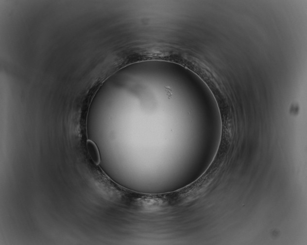 X0000100870512200806201244