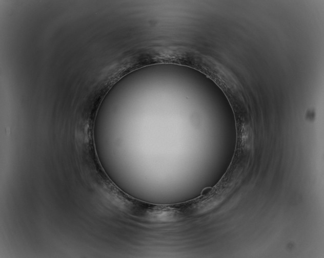 X0000100870514200806201244