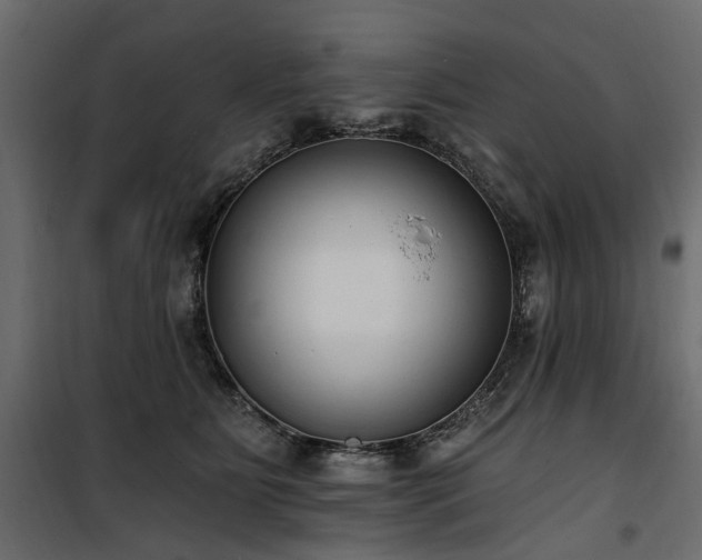 X0000100870515200806201244