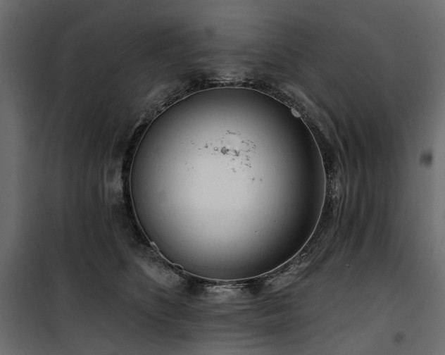 X0000100870516200806201244