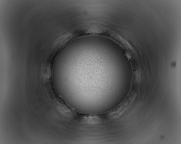 X0000100870517200806201244