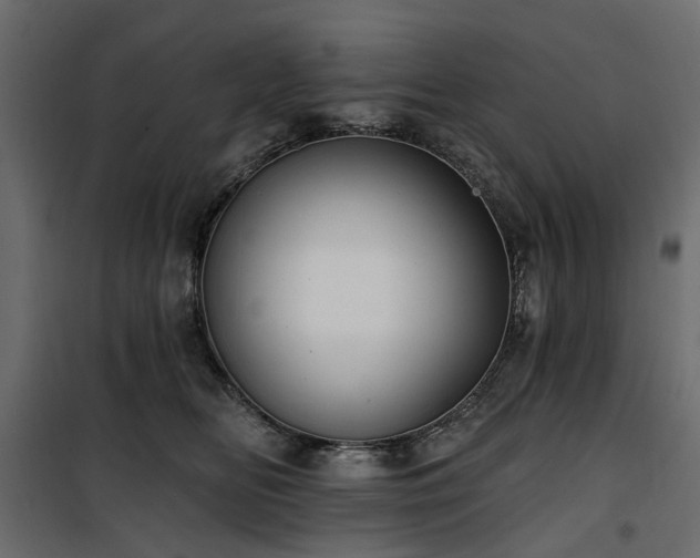 X0000100870518200806201244