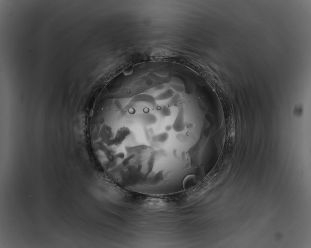 X0000100870519200806201244