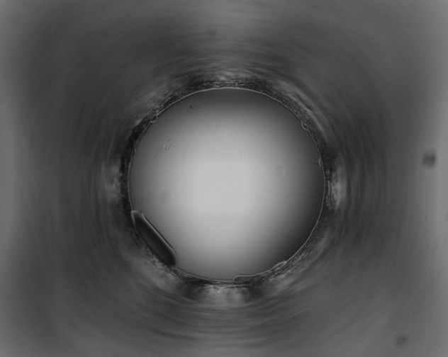 X0000100870520200806201244