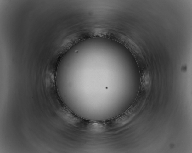 X0000100870522200806201244