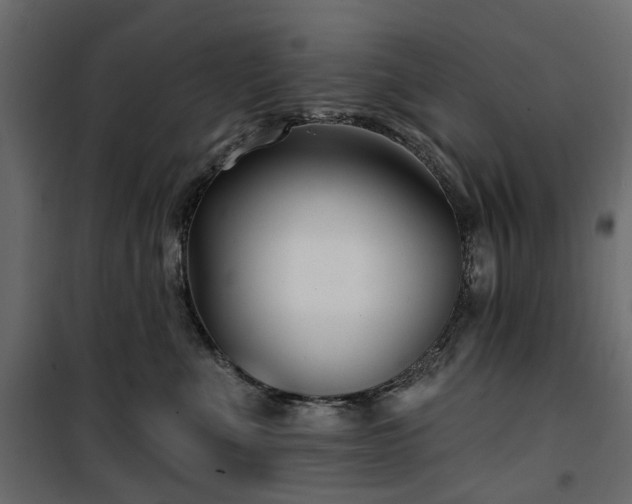 X0000100870523200806201244