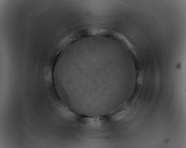 X0000100870524200806201244