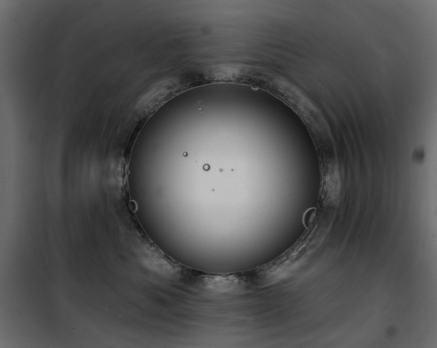 X0000100870525200806201244