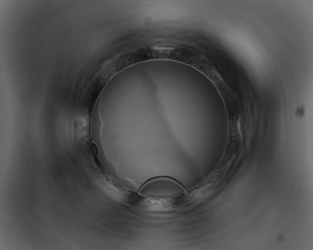 X0000100870526200806201244