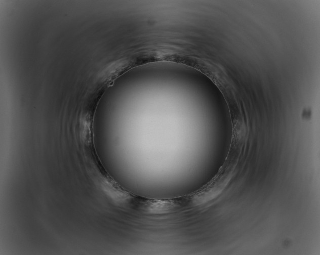 X0000100870527200806201244