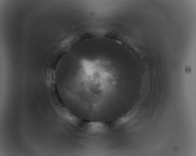 X0000100870528200806201244