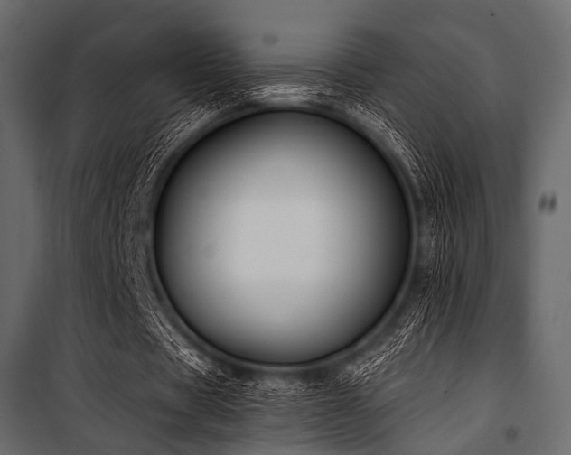 X0000100870529200806201243