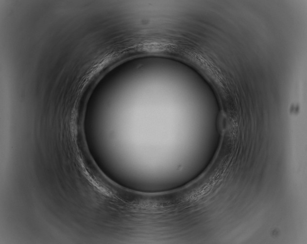 X0000100870530200806201243