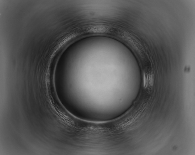 X0000100870531200806201243