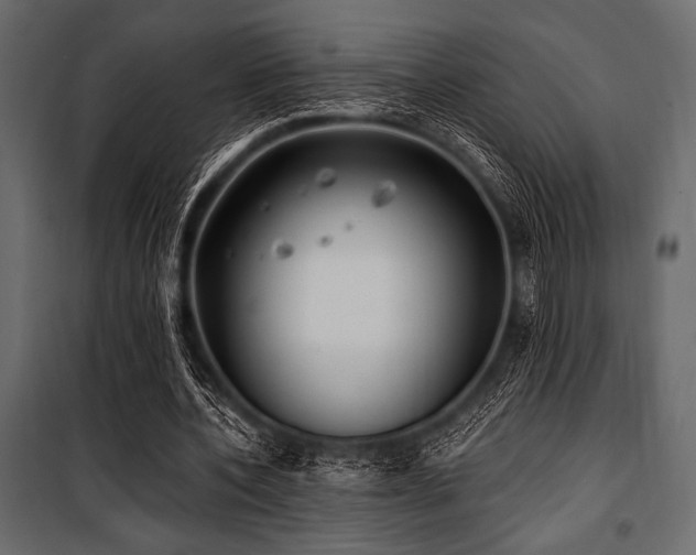 X0000100870532200806201243