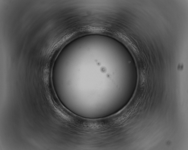 X0000100870533200806201243