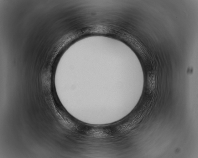X0000100870534200806201243