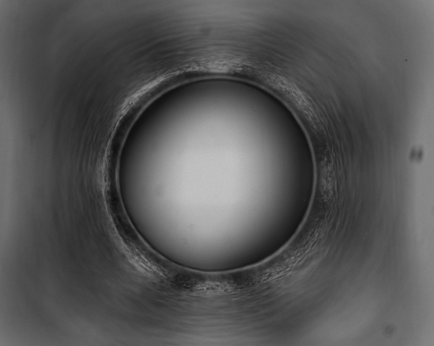 X0000100870536200806201243