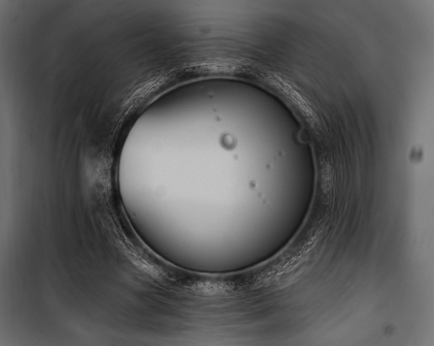 X0000100870537200806201243