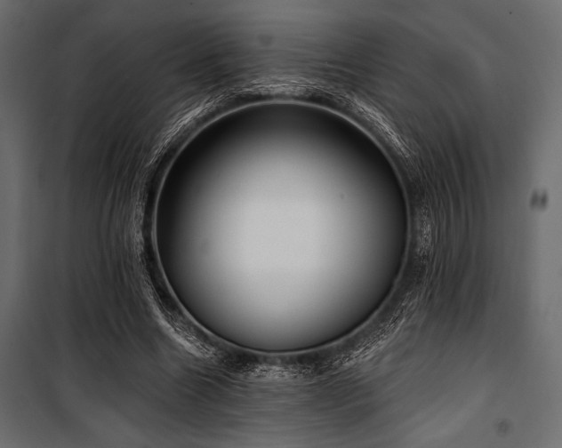 X0000100870538200806201243