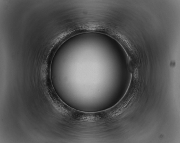 X0000100870540200806201243
