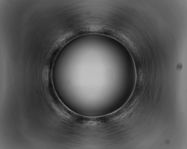 X0000100870542200806201243