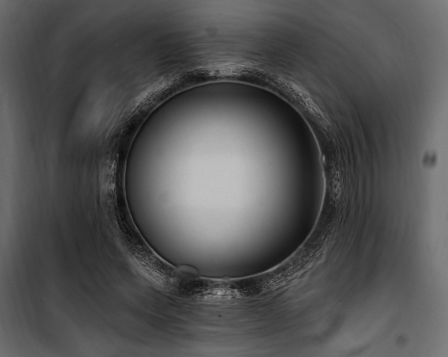 X0000100870543200806201243